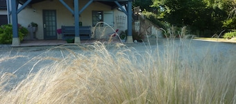 Country studio