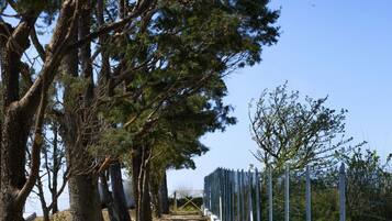 Vila, para fumantes | 5 quartos, ferros/tábuas de passar roupa, Wi-Fi