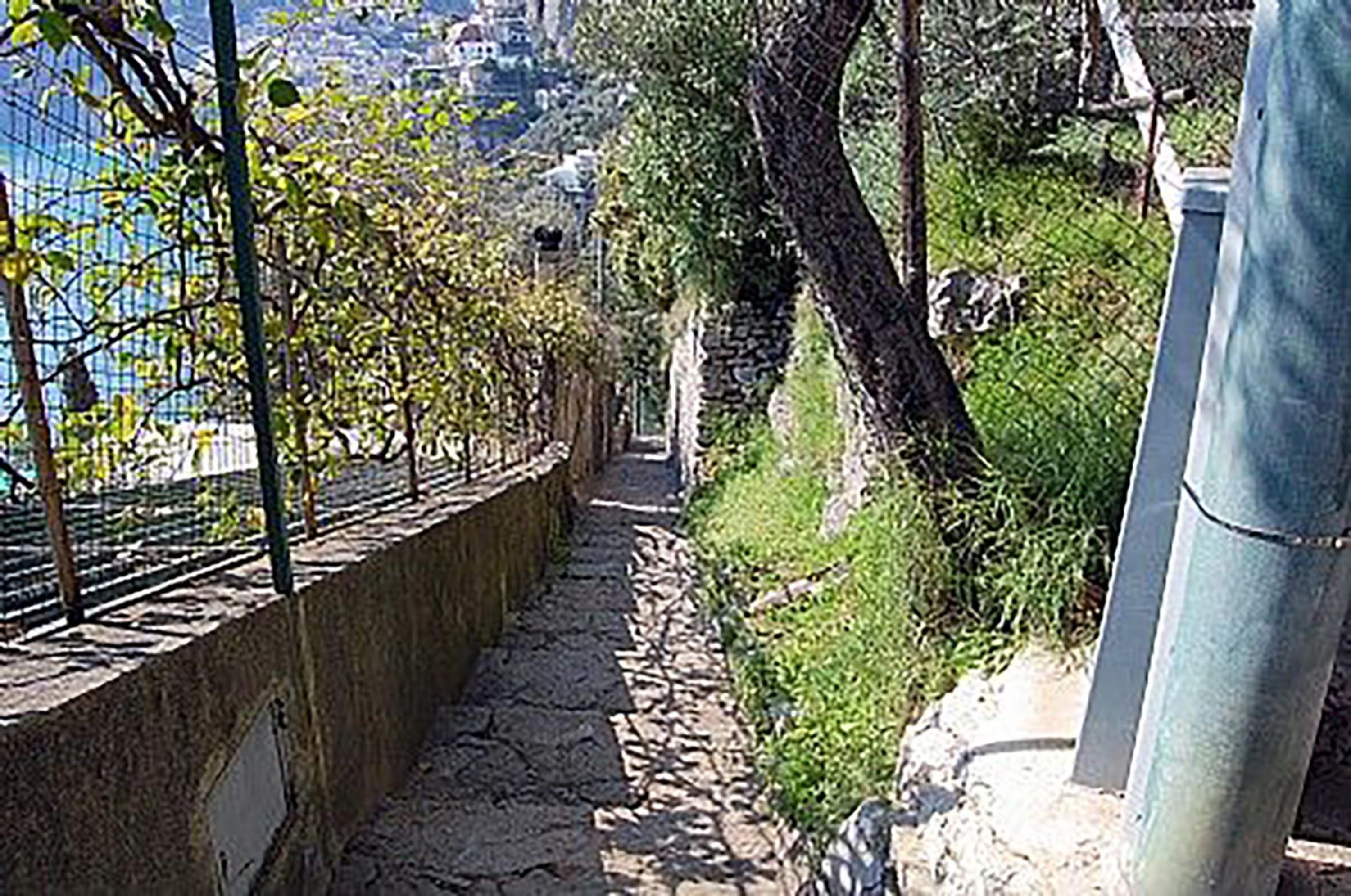 Un sentier de pierres bordant un plan d’eau, avec une clôture et des arbres en arrière-plan.