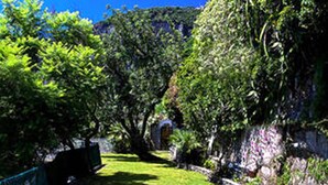 A pathway flanked by lush greenery and a stone wall. - Villa Le Sirene in Positano (Positano)