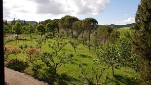 A rural landscape with a grassy field, trees, and a fence. - Villa Il Giardino in Radicofani (Radicofani)