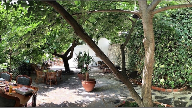 An outdoor dining area with a wooden table and chairs, surrounded by lush greenery and potted plants. - Anfora Otel & Sarap Evi (Edremit)