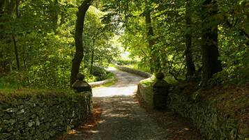 Cabin | Property grounds