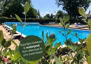 Pool - Extra Luxury 8-person villa with outdoor sauna and bubble bath (Uden)