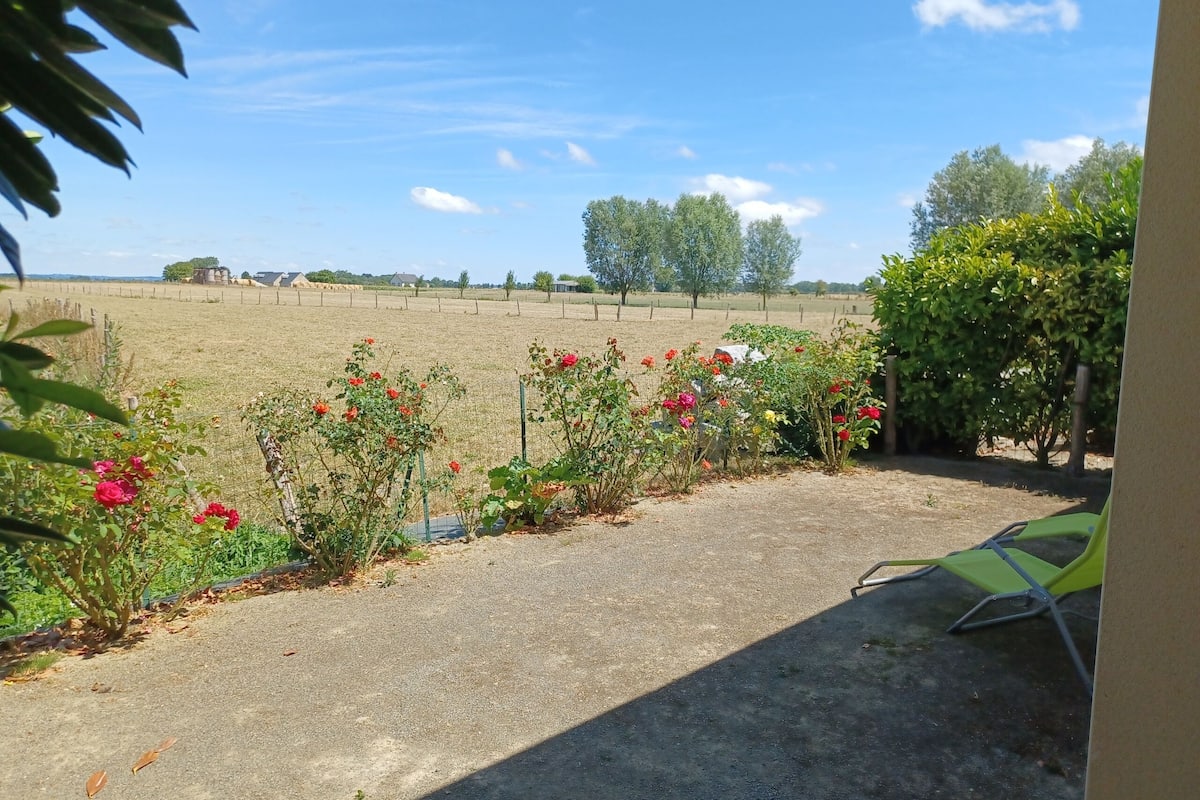 Un jardin avec un chemin de gravier et des plantes en fleurs, une chaise verte, et une vue sur un champ et des arbres en arrière-plan.