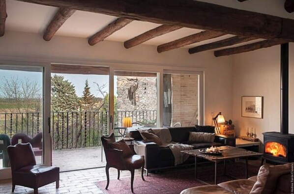 TV, fireplace, books