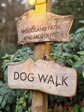 Pemandangan darat dari hartanah