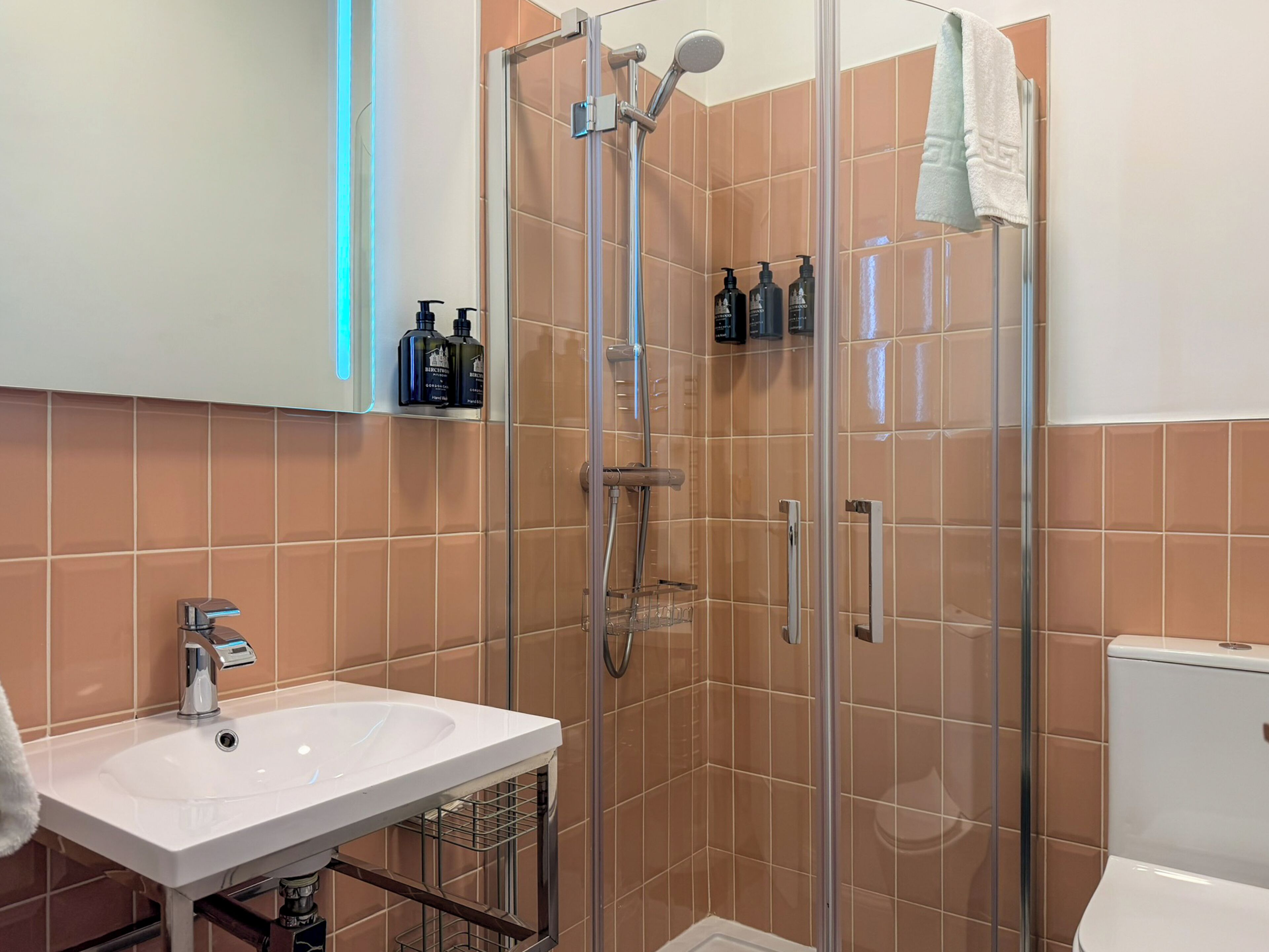 A bathroom with a glass-enclosed shower, a white sink, and toiletries on a shelf.