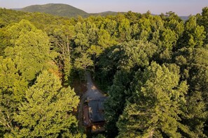 Aerial view - Hester`s Hideaway - Cozy, Rustic Mountain Cabin (Cleveland)
