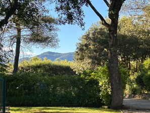 A natural landscape with trees, a grassy area, and a mountain in the background.