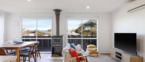 TV, fireplace, DVD player, books