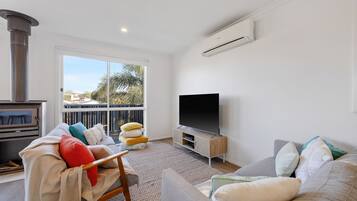 TV, fireplace, DVD player, books