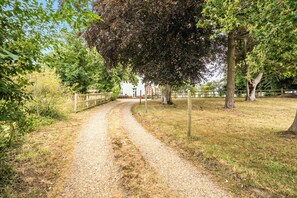 A gravel path leading to a building with a large tree in the foreground.