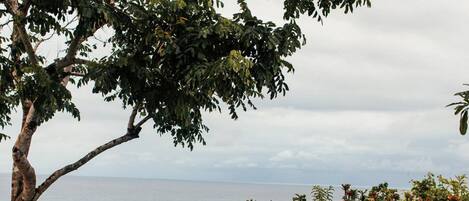 Villa, Raucher | 7 Schlafzimmer, Bügeleisen/Bügelbrett