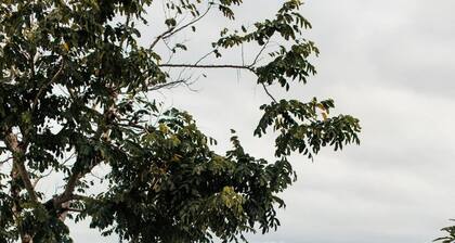 Villa Amore in Castellammare di Stabia