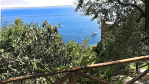 A coastal view with a boat on the water, surrounded by dense greenery and a wooden fence. - Maison Don Rafe in Positano (Positano)