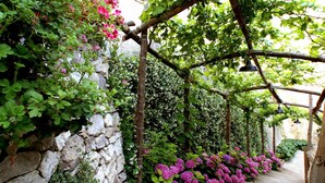 A stone wall with climbing plants and flowers, a wooden pergola, and a stone pathway. - Villa Alma in Massa Lubrense (Massa Lubrense)
