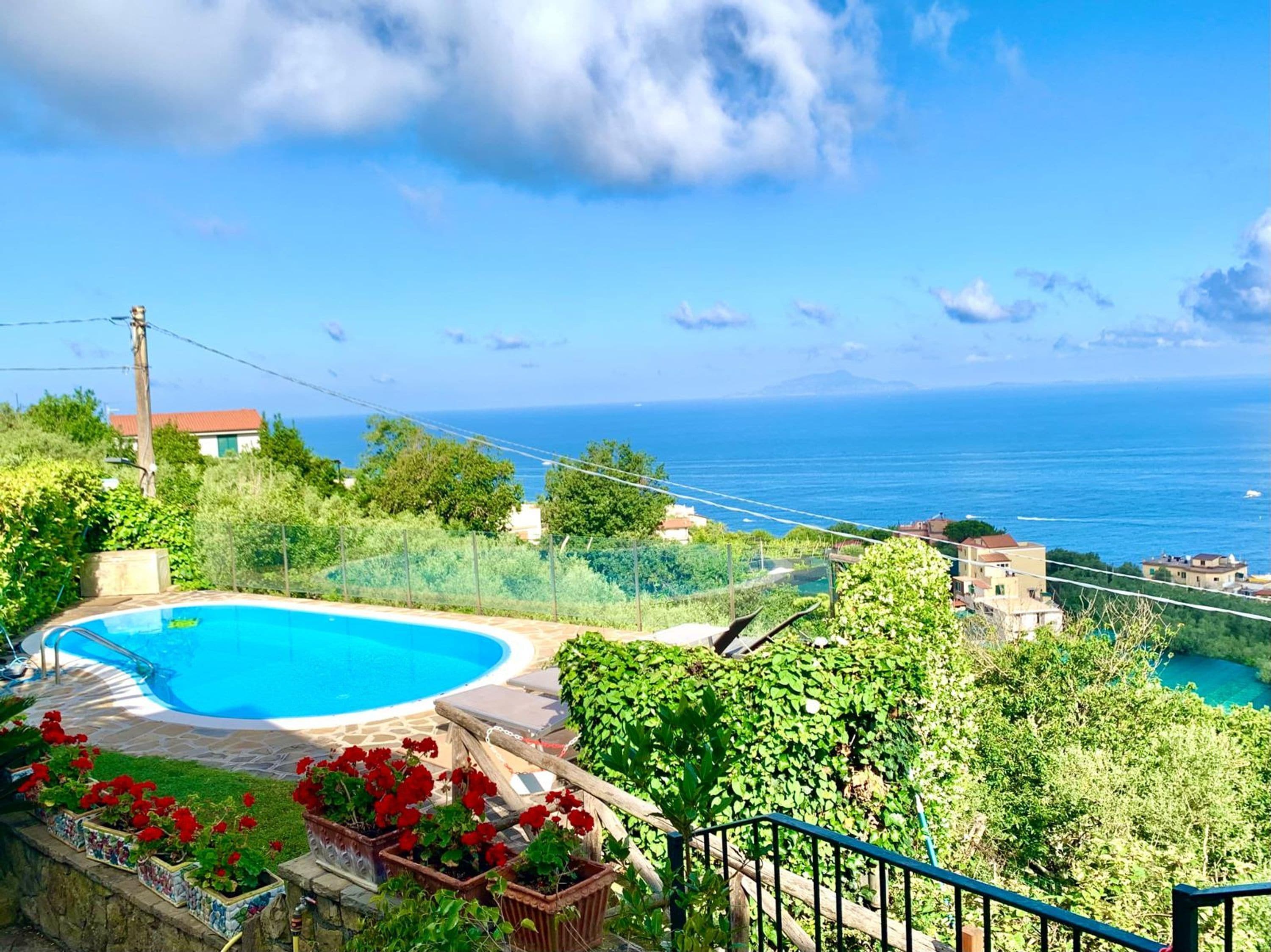 A swimming pool with a view of the sea, surrounded by greenery and houses.