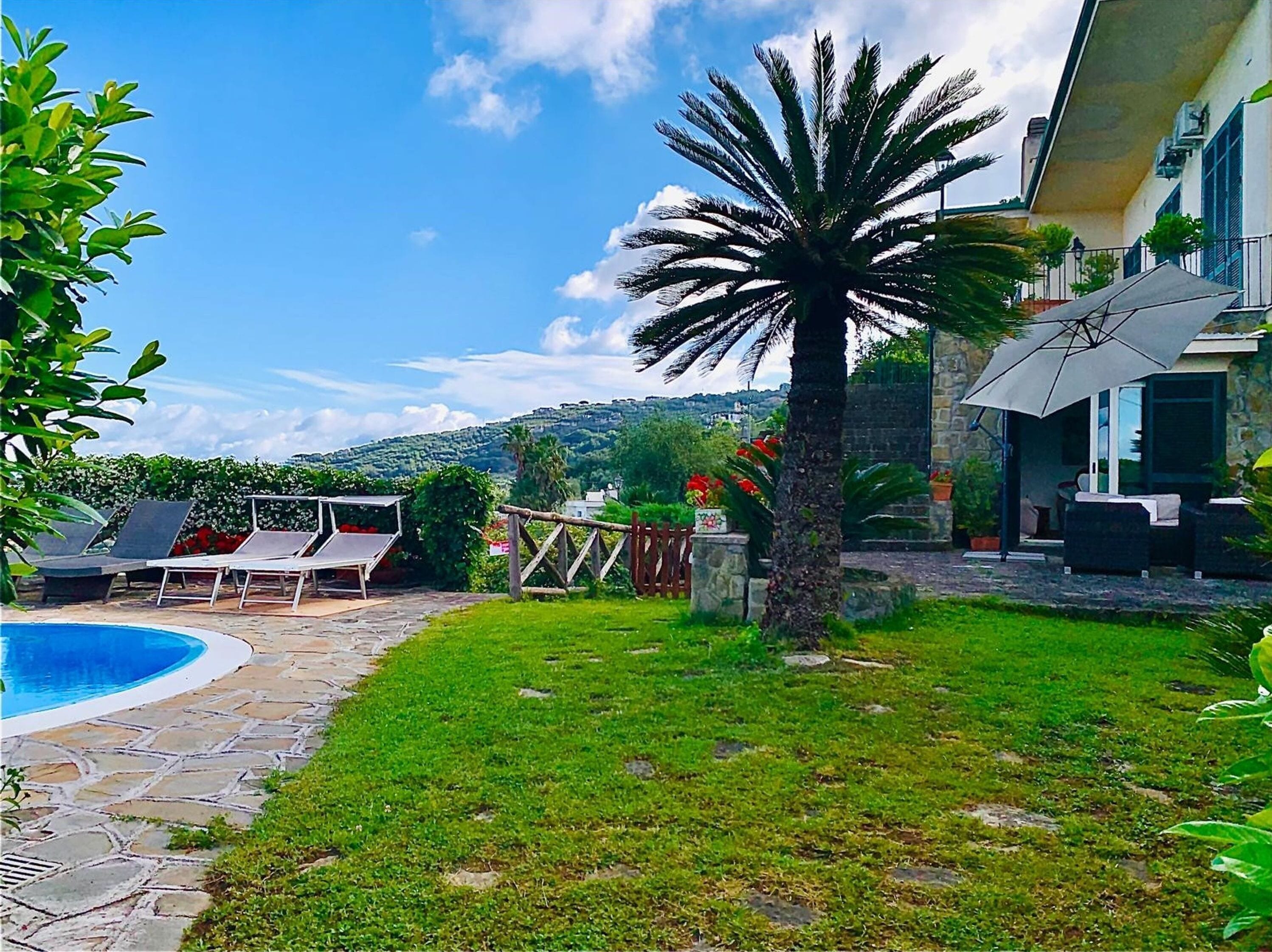 Um quintal com piscina, cadeiras de descanso, uma palmeira e um pátio de pedra.