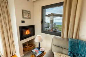 Smart TV, chimenea, reproductor de DVD y libros