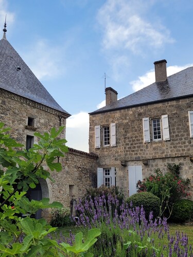 Beautiful estate with swimming pool and wooded grounds