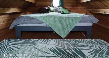 Air-conditioned chalet for 4 people with swimming pool - Albi