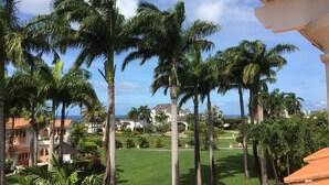 A view of a residential area with palm trees, a lawn, and houses with red-tiled roofs.