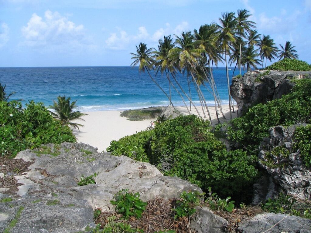 Ein Strand mit Palmen und felsigem Gelände.