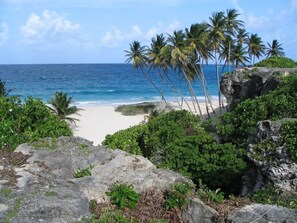 Sun-loungers, beach towels