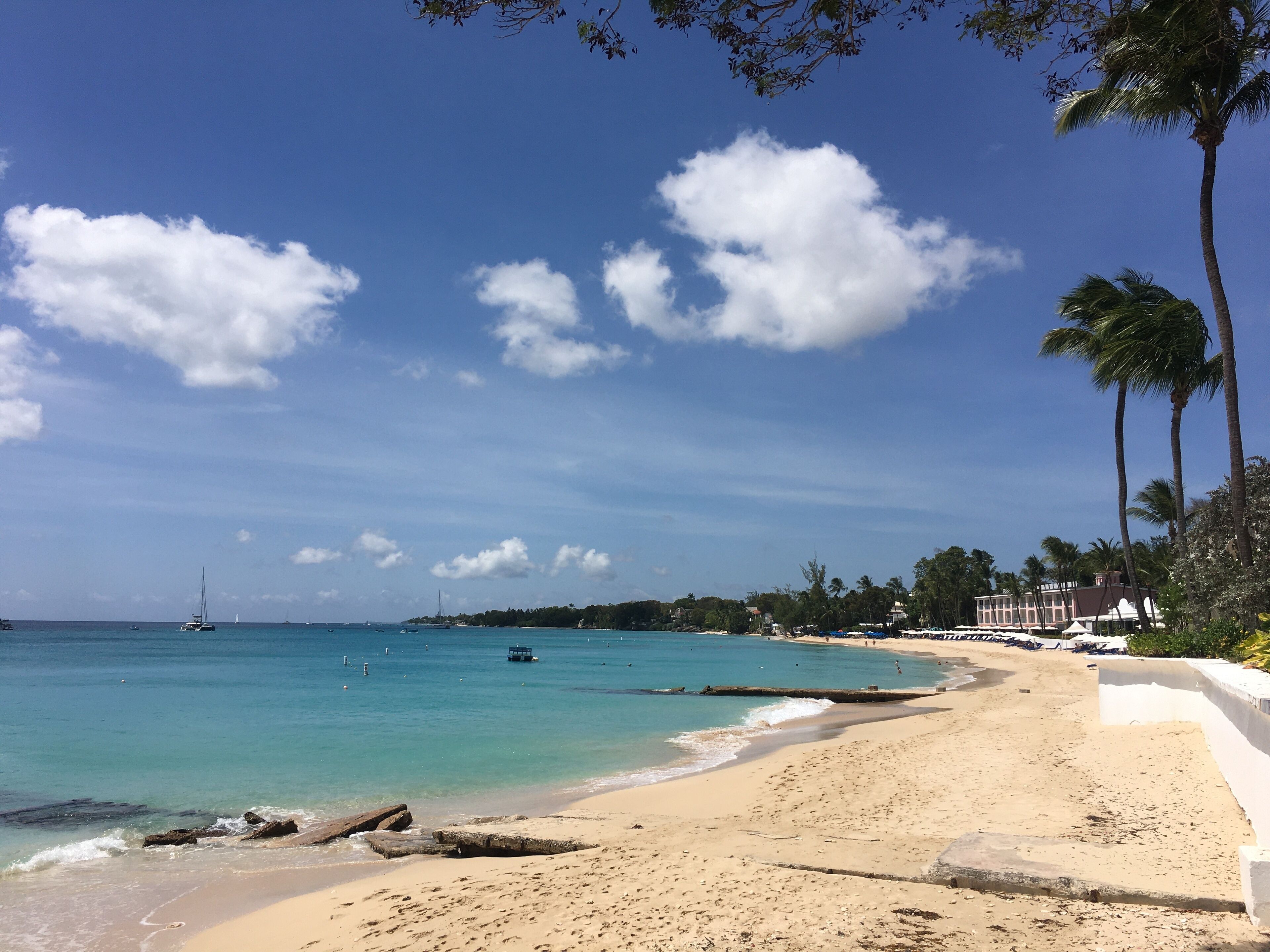 Une plage à l’eau turquoise et limpide, bordée de palmiers et dotée d’un rivage sablonneux.