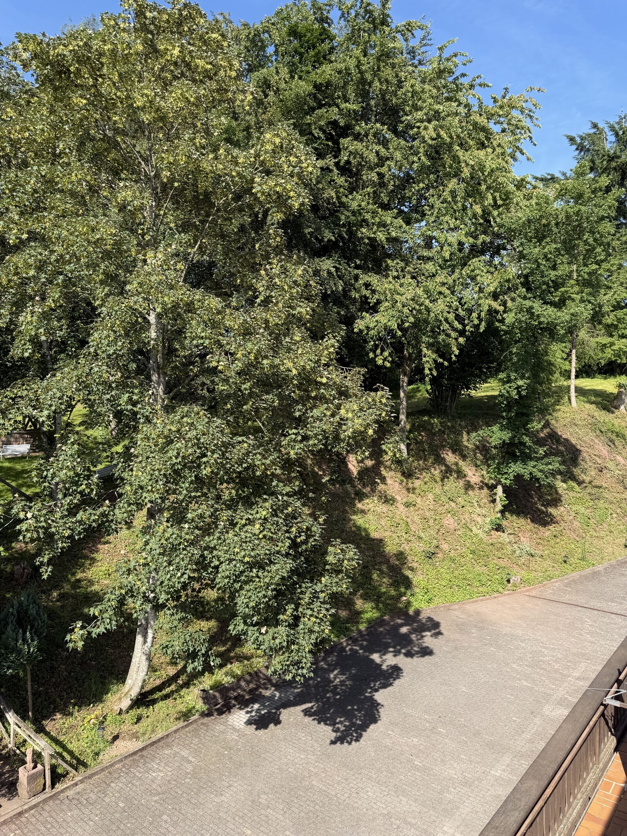 A paved pathway alongside a grassy area with trees.