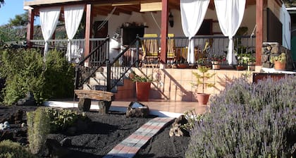 How about living at home in Casa Esperanza with a view of the HarĂa palm grove?