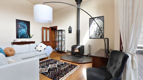 Smart TV, fireplace, DVD player, books