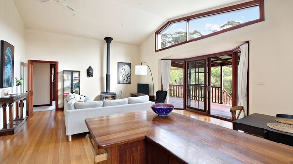 Smart TV, fireplace, DVD player, books