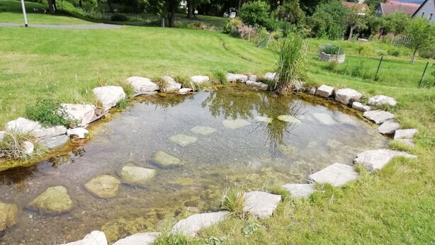 Un pequeño estanque de agua clara, rodeado de rocas y césped.