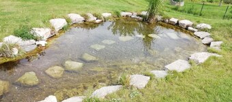 Quiet vacation apartment in a manor house, 5 minutes from the park