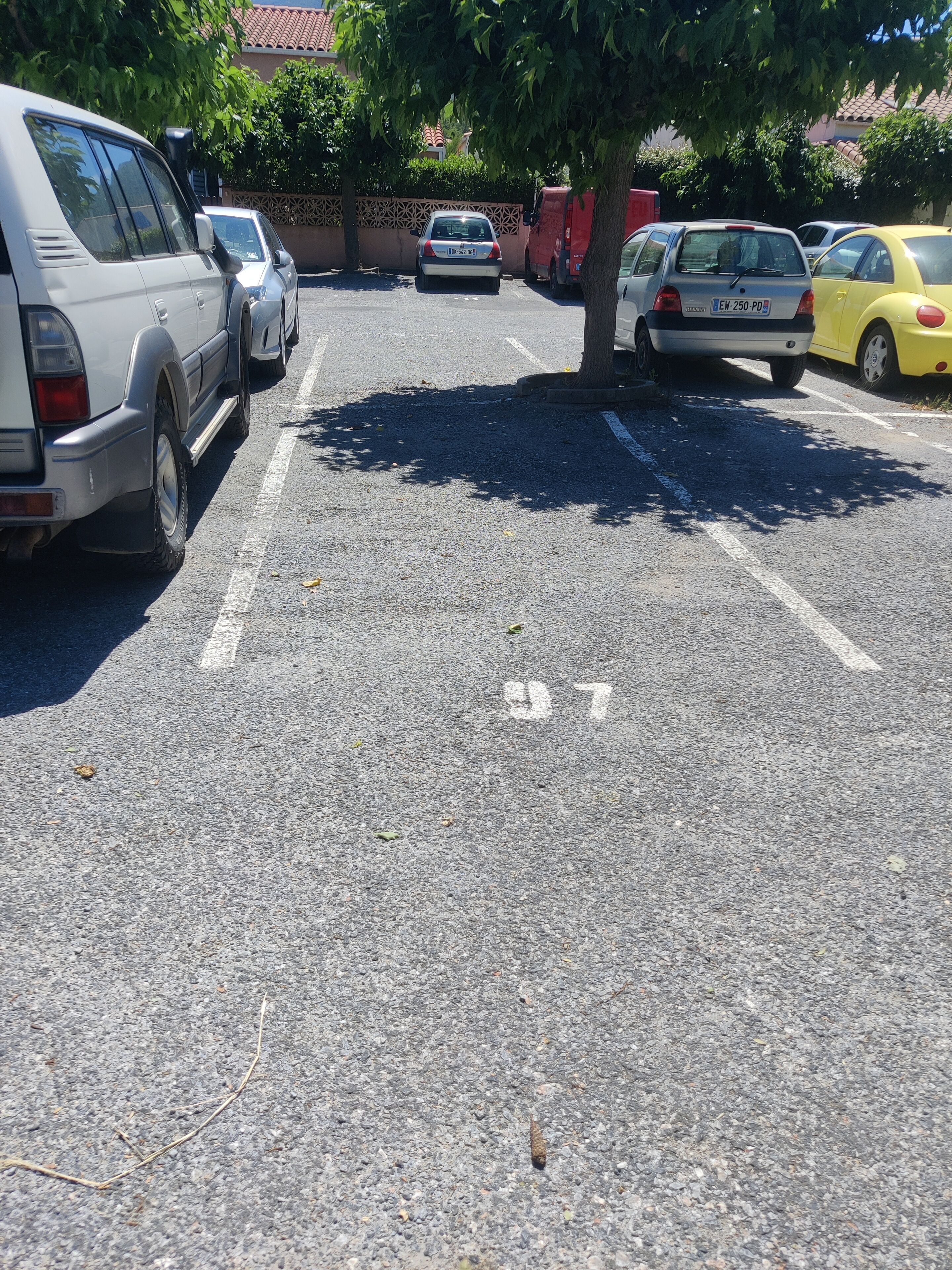 A parking lot with several cars, including a white SUV, a silver car, and a yellow car. There are trees and a building with a tiled roof in the background.