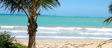 Nær stranden og strandhåndklær