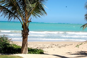 A beach with clear turquoise water, a palm tree, and a sandy shore.