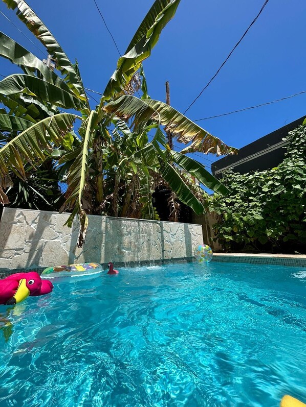 A swimming pool with clear blue water, surrounded by lush greenery and a stone wall.