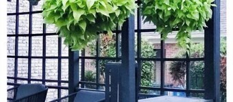 The Haymount Historic by Haymount Homes