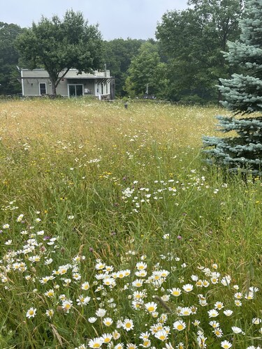 Secluded Catskills cabin on a private road.