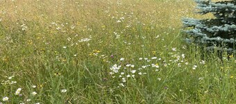 Secluded Catskills cabin on a private road.
