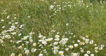 Secluded Catskills cabin on a private road.