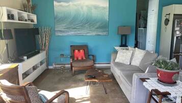 Een smart-tv, een dvd-speler, boeken en een stereo