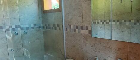 A modern bathroom with a glass shower enclosure, a white toilet, a wooden vanity with a sink, and a large mirror above the vanity.