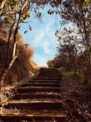 Property grounds - Pousada Reserva Nativida (Santo Antonio do Pinhal)