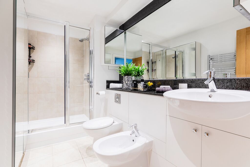 Combined shower/bathtub, hair dryer, towels, soap