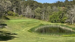 Golfkenttä, jossa on lampi, ja jota ympäröivät tiheät puut ja kirkas taivas.
