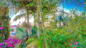 Een weelderige tuin met diverse planten en bloemen, waaronder palmbomen en levendige bloei.